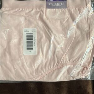 Catherines Intimates Soft Pink Briefs